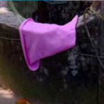 36-day-old baby found dead in well: Mother in custody, incident in Thiruvananthapuram