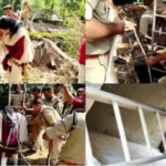 A human skeleton found inside Karivattam campus was exhumed in an adventurous manner;  Including DNA testing