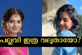 A new chapter in life, the glad tidings of the pallavi in ​​the series of jackfruit