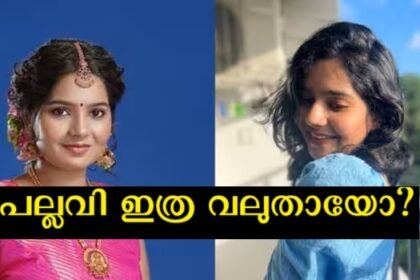 A new chapter in life, the glad tidings of the pallavi in ​​the series of jackfruit