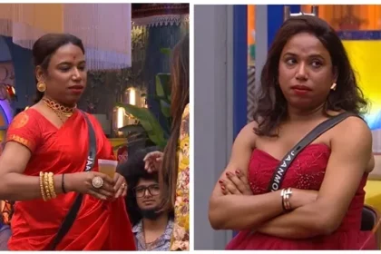 Janmani's wedding is soon. The groom is a doctor. The star revealed