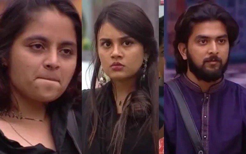 Jasmin Kuttukattu is the reason why Gabri got out. I also wanted what her uncle did. What she did was wrong; Rezmin