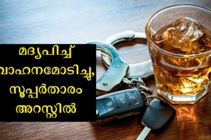 Singer and actor superstar arrested for drunk driving