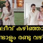 After the marriage, Meera Nandan opened up about the future and the audience said that it is full planning