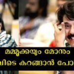 All the stars reached Amma's meeting in Kochi yesterday, but only Mammootty and Dulquer didn't come because