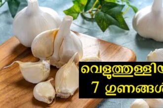Do you know what changes will happen in your body and life if you eat a clove of garlic in the morning?