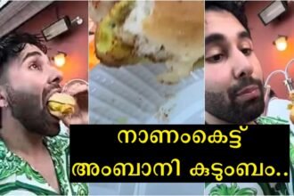 Is this what the guests are given to eat?  Did you see the vada pav served to the government of the son of Mukesh Ambani, one of the world's biggest billionaires?