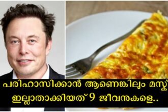 Lone Musk commits a serious crime and vows not to eat omelets for a week as punishment
