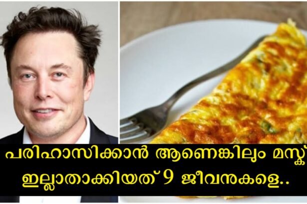 Lone Musk commits a serious crime and vows not to eat omelets for a week as punishment