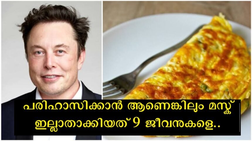 Lone Musk commits a serious crime and vows not to eat omelets for a week as punishment