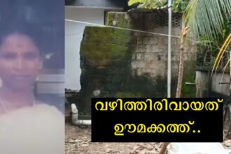 Suspecting that his wife was having an affair with another person, he was killed with the help of his friends and thrown in a safe tank, the girl's family did not even file a case, the last turning point was what was said in that dumb speech.