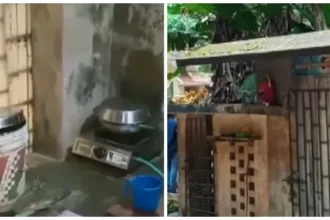 The guest worker was accommodated in a dog cage, the monthly rent was 500. The police did not take the case.  This is the reason
