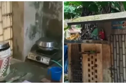 The guest worker was accommodated in a dog cage, the monthly rent was 500. The police did not take the case.  This is the reason