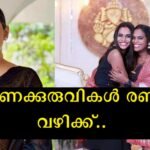 The lesbian trans couple who made history in Kerala broke up because of this