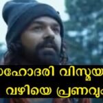 We know that Pranav Mohanlal roams the hills, mountains and jungles, but this is not just for adventure and entertainment, the audience has now caught on to a new reason.