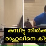 Where is Rahul Gandhi when the whole country is celebrating Ambani's son's marriage?  This is the audience that is the real leader