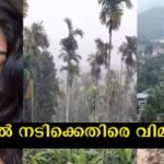 In my country Wayanad, it is raining, it is cold, it is beautiful to see this view – the audience criticized the serial actress without reading the caption of her video days ago, the incident is as follows